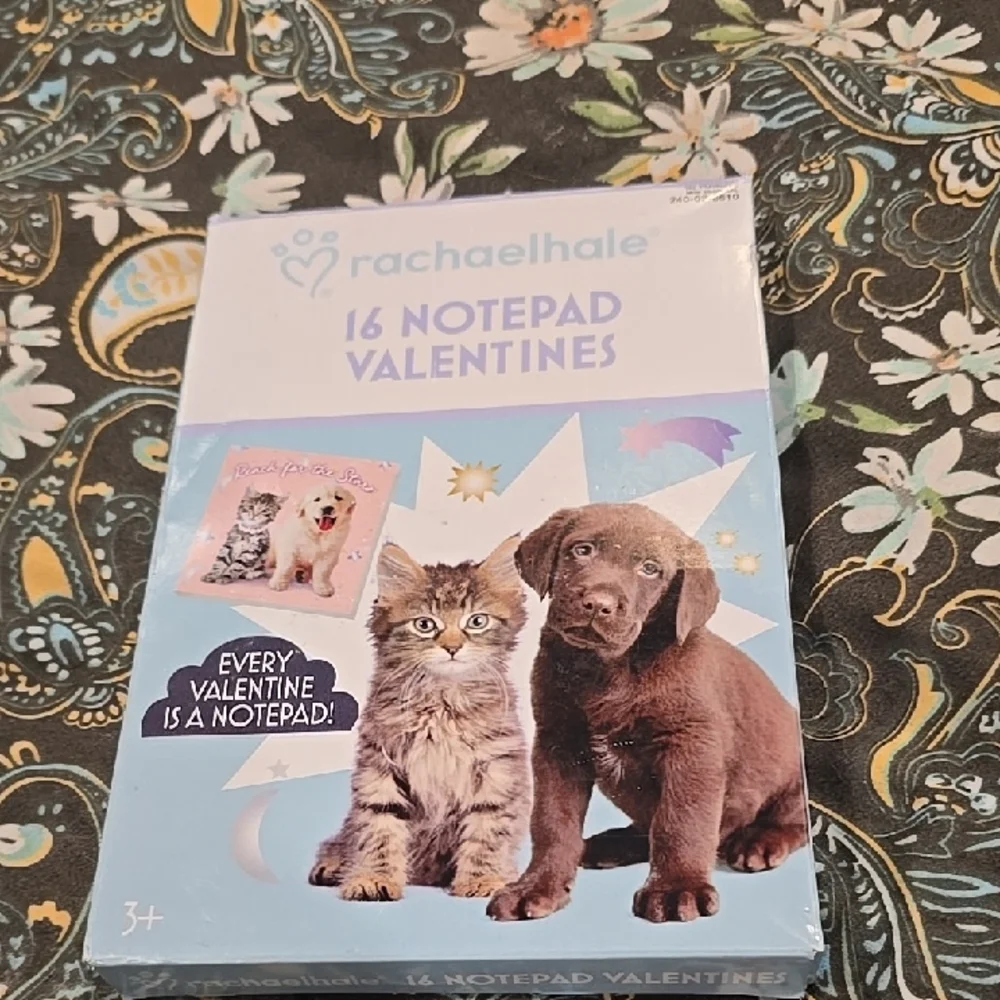 ❤️10/$13 New Cat and Dog Notepad Valentines - Blue 16 Student